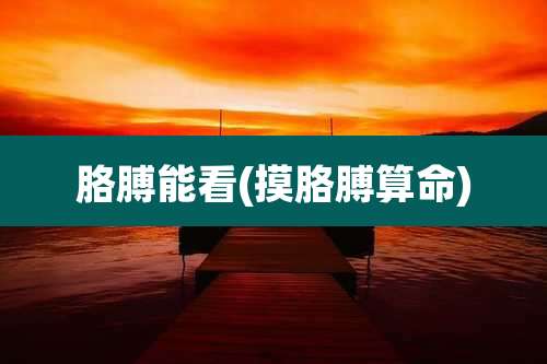 胳膊能看(摸胳膊算命)