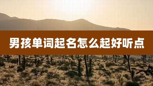 男孩单词起名怎么起好听点