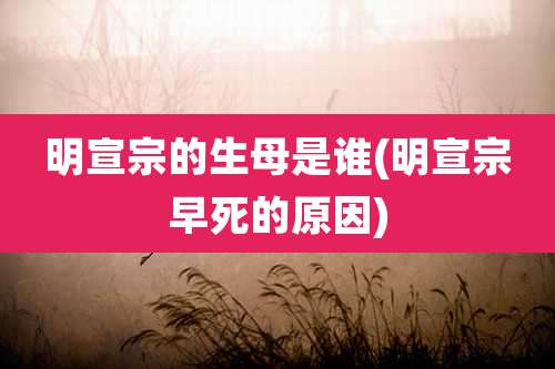 明宣宗的生母是谁(明宣宗早死的原因)