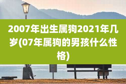2007年出生属狗2021年几岁(07年属狗的男孩什么性格)