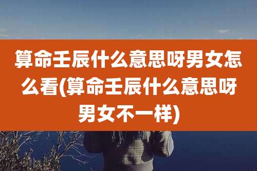 算命壬辰什么意思呀男女怎么看(算命壬辰什么意思呀男女不一样)