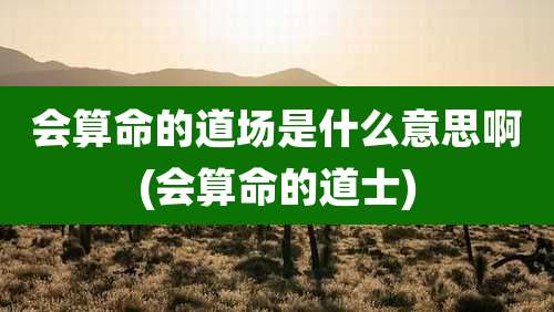会算命的道场是什么意思啊(会算命的道士)