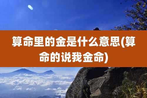 算命里的金是什么意思(算命的说我金命)