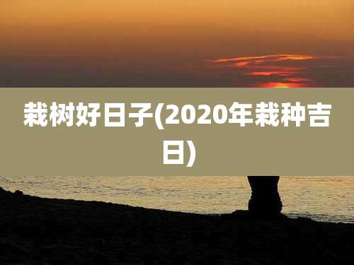 栽树好日子(2020年栽种吉日)