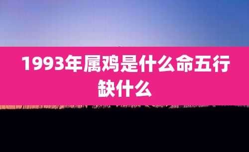 1993年属鸡是什么命五行缺什么
