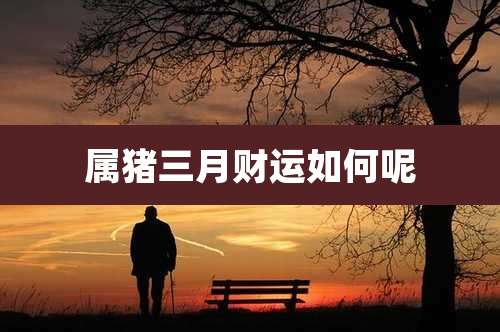 属猪三月财运如何呢