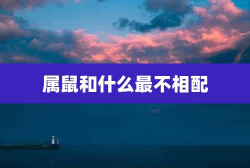 属鼠和什么最不相配