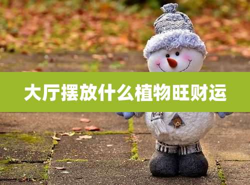 大厅摆放什么植物旺财运