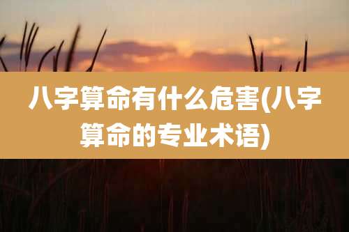 八字算命有什么危害(八字算命的专业术语)