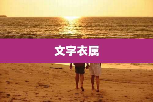 文字衣属