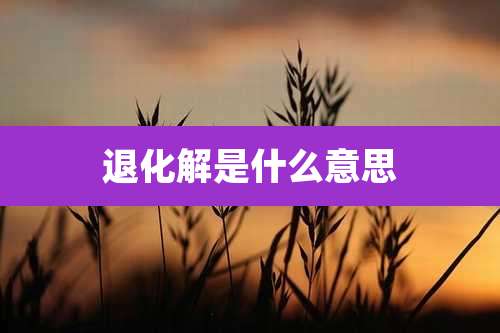 退化解是什么意思