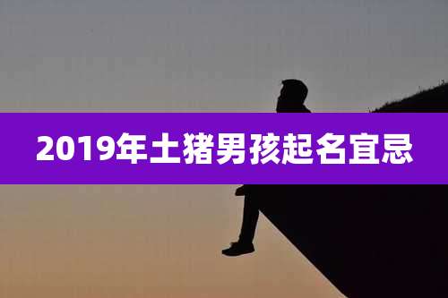 2019年土猪男孩起名宜忌