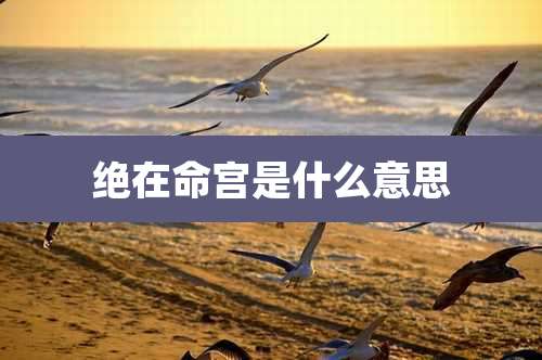 绝在命宫是什么意思