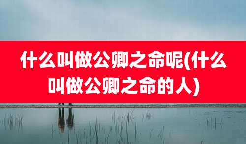 什么叫做公卿之命呢(什么叫做公卿之命的人)