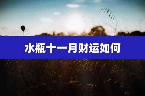 水瓶十一月财运如何