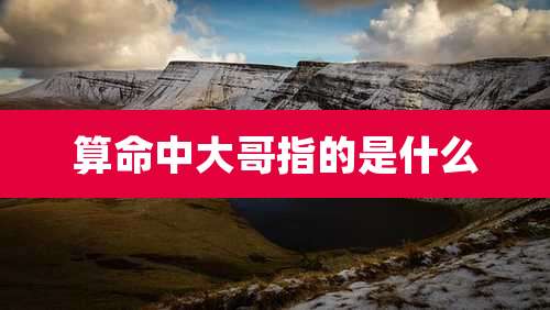 算命中大哥指的是什么