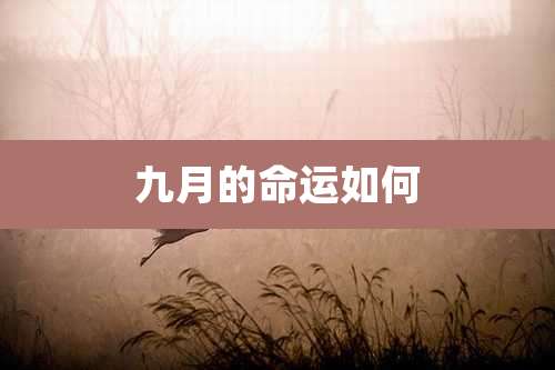 九月的命运如何