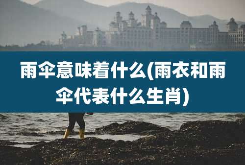 雨伞意味着什么(雨衣和雨伞代表什么生肖)