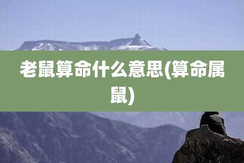 老鼠算命什么意思(算命属鼠)