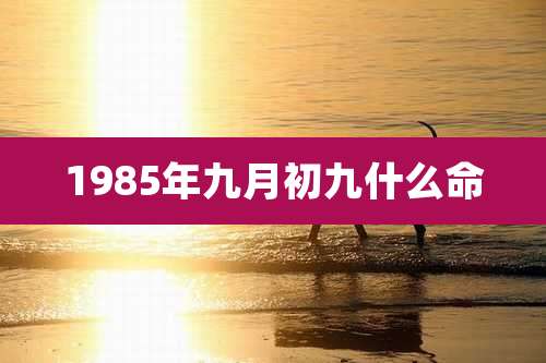 1985年九月初九什么命