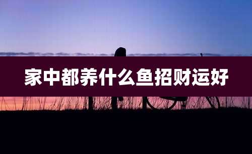 家中都养什么鱼招财运好