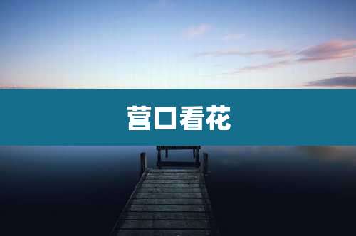 营口看花