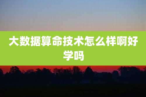 大数据算命技术怎么样啊好学吗