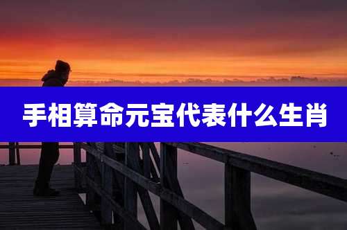 手相算命元宝代表什么生肖