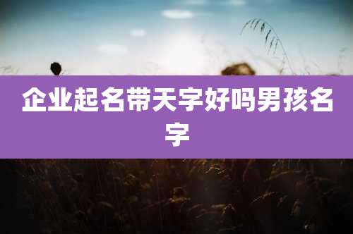 企业起名带天字好吗男孩名字
