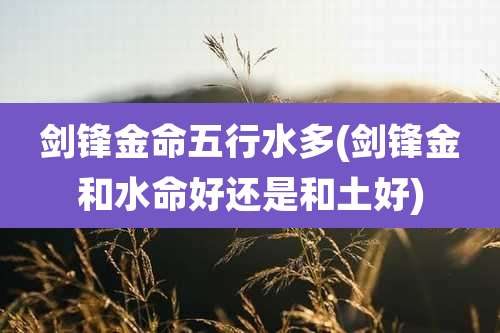 剑锋金命五行水多(剑锋金和水命好还是和土好)