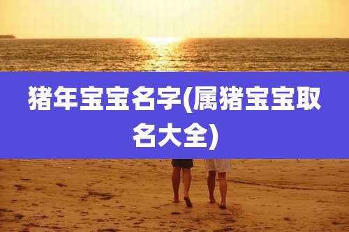 猪年宝宝名字(属猪宝宝取名大全)