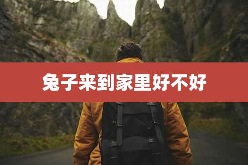 兔子来到家里好不好