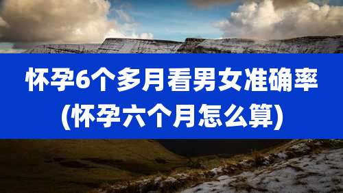 怀孕6个多月看男女准确率(怀孕六个月怎么算)
