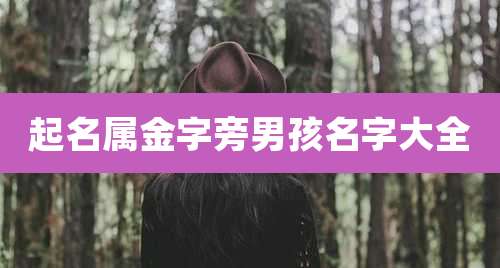 起名属金字旁男孩名字大全