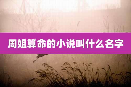 周姐算命的小说叫什么名字