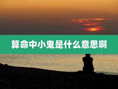 算命中小鬼是什么意思啊