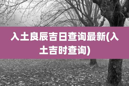入土良辰吉日查询最新(入土吉时查询)