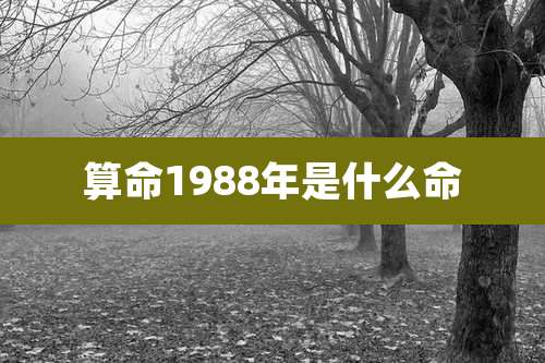 算命1988年是什么命
