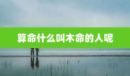 算命什么叫木命的人呢