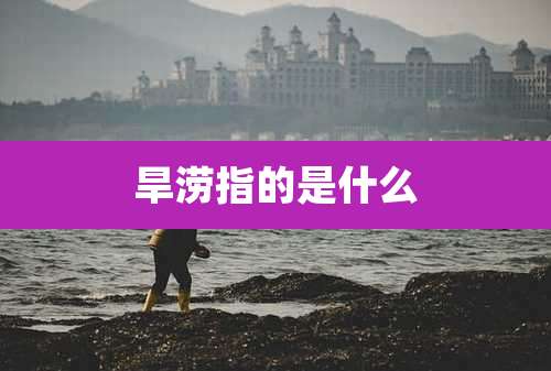 旱涝指的是什么