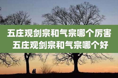 五庄观剑宗和气宗哪个厉害 五庄观剑宗和气宗哪个好