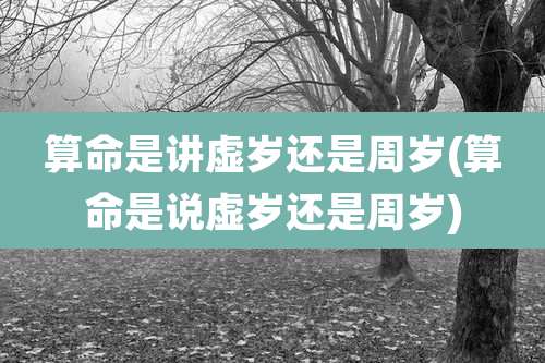 算命是讲虚岁还是周岁(算命是说虚岁还是周岁)