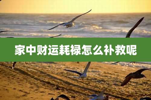 家中财运耗禄怎么补救呢