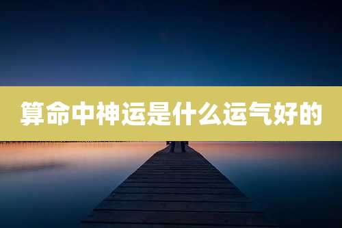 算命中神运是什么运气好的
