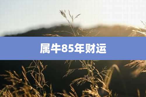 属牛85年财运