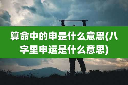 算命中的申是什么意思(八字里申运是什么意思)