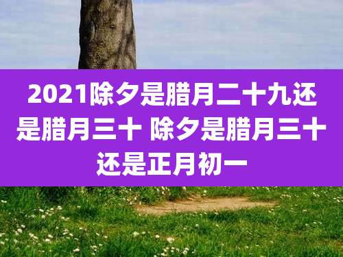 2021除夕是腊月二十九还是腊月三十 除夕是腊月三十还是正月初一