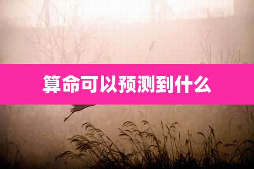 算命可以预测到什么