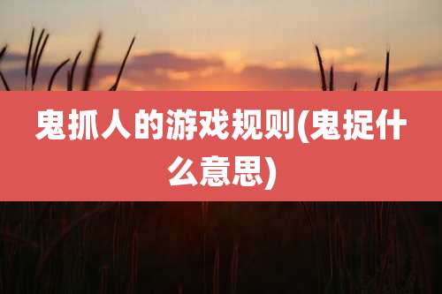 鬼抓人的游戏规则(鬼捉什么意思)