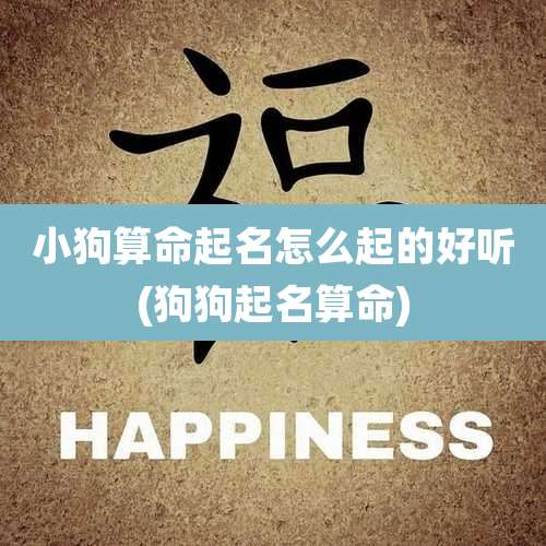 小狗算命起名怎么起的好听(狗狗起名算命)